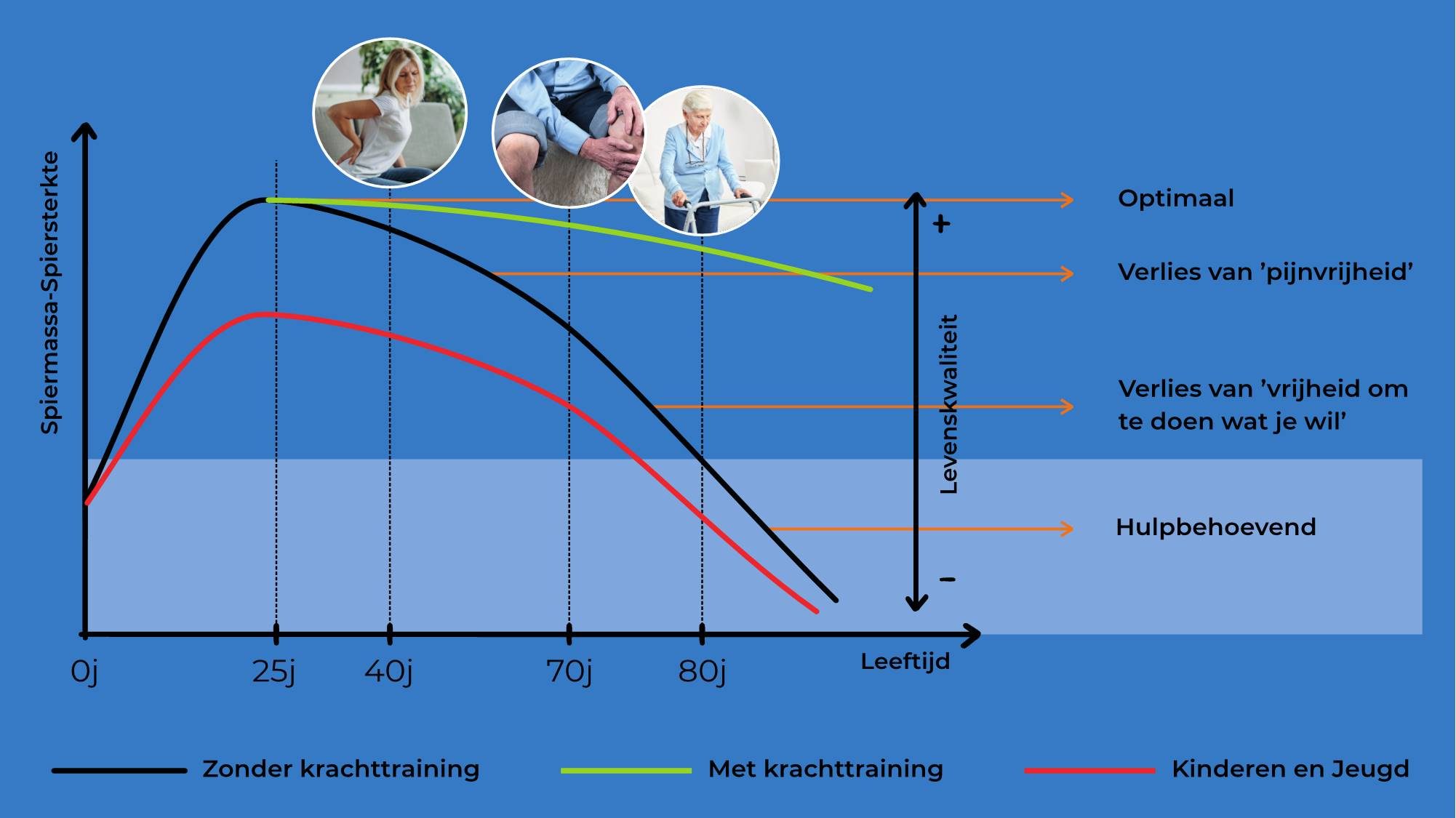 Grafiek van spiermassa en spiersterkte tegen leeftijd. Zonder krachttraining daalt de lijn na het 25e jaar en zakt hij na het 70e onder de grenzen van pijnvrij bewegen, vrij bewegen en zelfstandigheid. Met krachttraining blijft de lijn daar tot op hoge leeftijd boven.